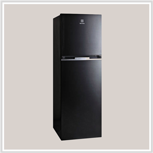 Tủ Lạnh Electrolux ETB3200BG